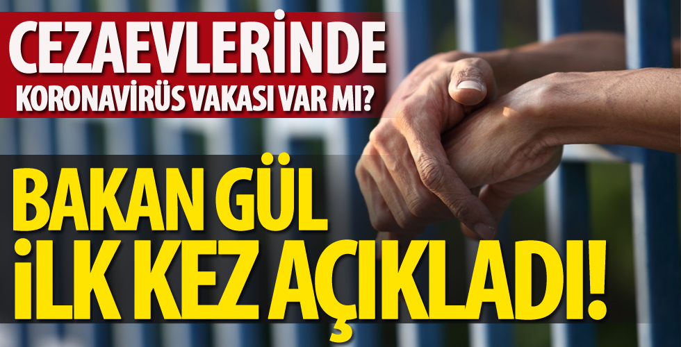 Adalet Bakanı Gül'den flaş açıklamalar