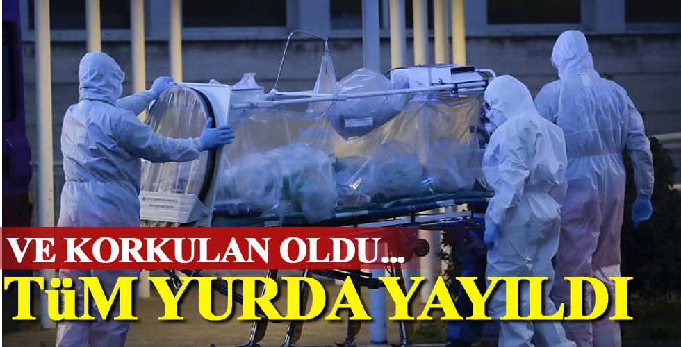 Bakan Koca korkunç gerçeği açıkladı!