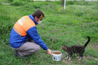 Nilüfer'de Can Dostları Unutulmuyor