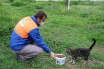 NİLÜFER - Nilüfer'de Can Dostları Unutulmuyor