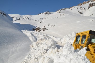 Şırnak'ta Karla Mücadele Çalışmaları Sürüyor