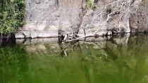 ADALA - Sönmüş Lavların Arasındaki Antik Güzellik Açıklaması Adala Kanyonu
