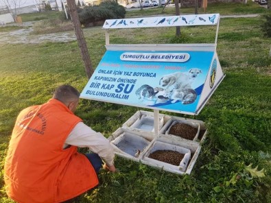 Turgutlu'da Sokak Hayvanları Da Unutulmadı