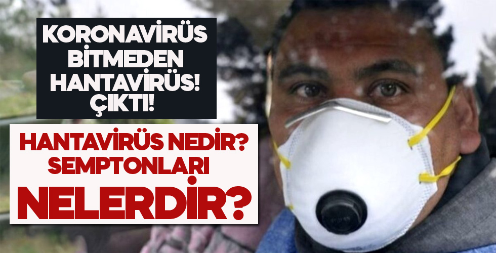 Çin'de ortaya çıkan hantavirüs nedir, semptomları nelerdir?