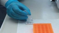 BEŞAR ESAD - Esad'la Görüşen Şoygu'ya Suriye Dönüşünde Korona Virüsü Testi Yapıldı