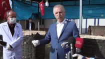 DAVUT GÜL - Gaziantep'teki Suriyeli Doktorlardan Koronavirüs Mücadelesine Destek