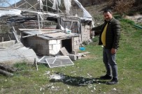 ALTıNPıNAR - Gümüşhane'de Ayılar Bir Gecede 25 Tavuğu Yedi
