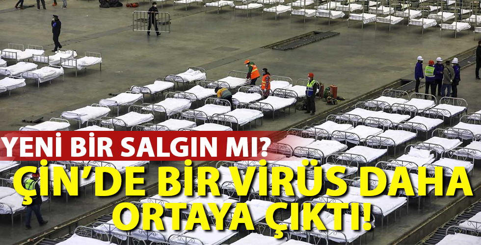 Koronavirüsün başladığı Çin’den bir virüs daha çıktı