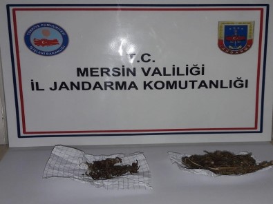 Uyuşturucu Kullanan 1 Kişi Suçüstü Yakalandı