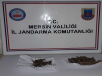 UYUŞTURUCU MADDE - Uyuşturucu Kullanan 1 Kişi Suçüstü Yakalandı