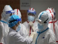 ÖĞRETİM ÜYESİ - Corona virüs salgını ne zaman bitecek?