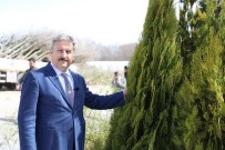 ESKİŞEHİR - 'Fidan Değil Ağaç Dikiyoruz'