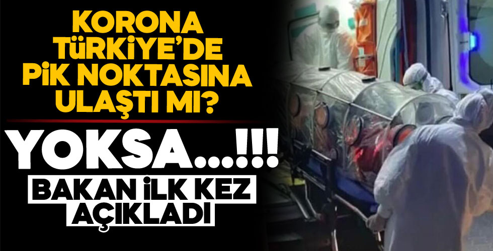 Hastalık pik noktasına ulaştı mı?