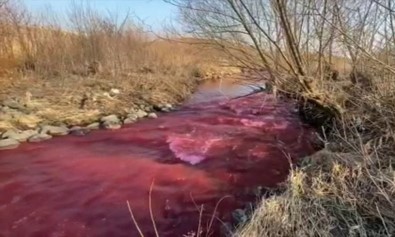 Kanada'da Mississauga Kentindeki Nehir Kırmızıya Büründü