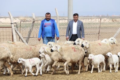 Korona Virüs Fırsatçılarının Yem Fiyatlarında Yaptığı Fahiş Artışa Tepki