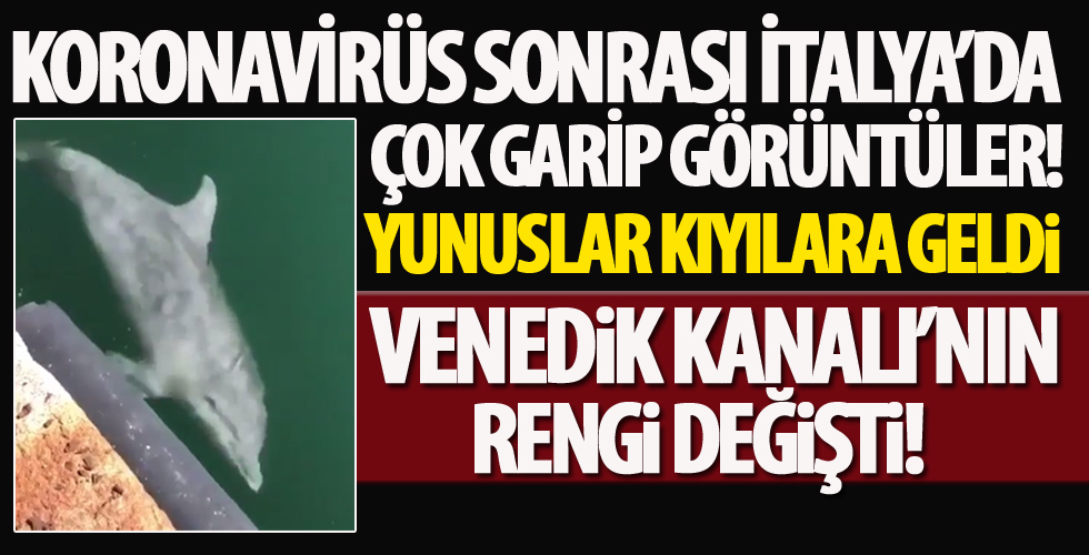 Koronavirüs sonrası İtalya’da neler oluyor?
