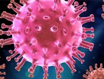 YAĞMURLU - Koronavirüs havada asılı kalıyor mu?