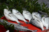 ALABALIK - Balık Piyasasında Durgunluk