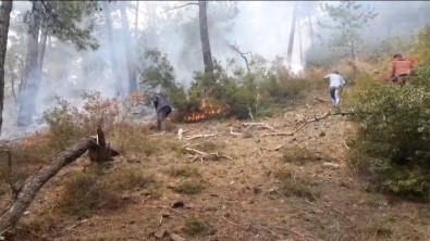 Balıkesir'de Orman Yangını