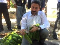 AHMET AYDIN - Milletvekili Aydın'dan Tütün Üreticilerine Büyük Müjde