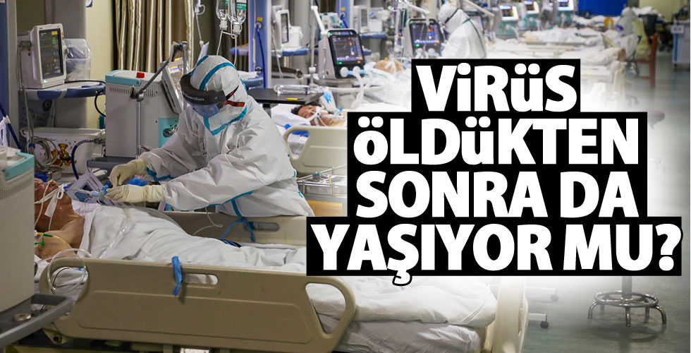 Ölümden sonra koronavirüs yaşıyor mu?