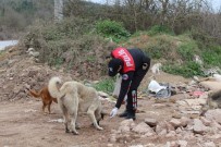 HAYVAN SEVERLER - Polisler Sokak Hayvanlarına Mama Bıraktı