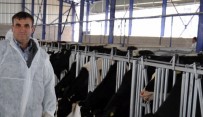 SÜT ÜRETİCİSİ - Süt Üreticileri Birliği Başkanı Tuna Açıklaması