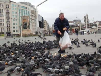 Taksim Meydanı Kuşlara Kaldı