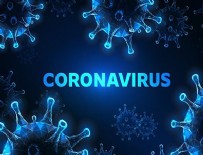 KAĞIT HAVLU - Korona virüsü ile ilgili doğru bilinen yanlışlar!