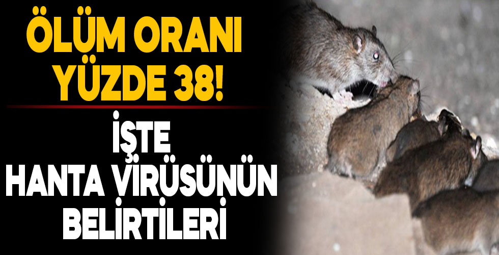 Corona virüsü sonrası Çin'de yeni bir Hanta virüsü salgını mı var?