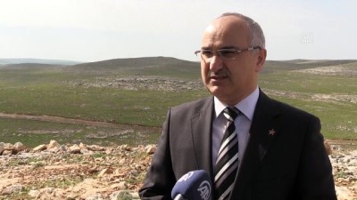 Doğaya Bırakılan Ceylanlar Sıkı Şekilde Takip Ediliyor