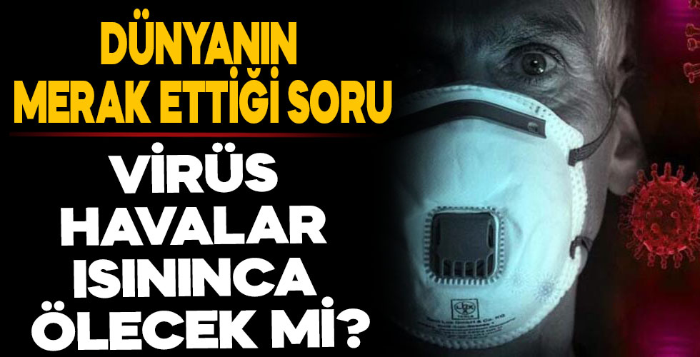 Havalar ısınınca virüs ölecek mi?