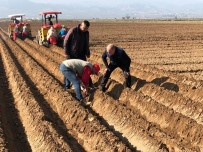 MıSıR - Hayatın Devamı İçin Çiftçi Üretmeye Devam Ediyor