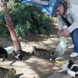 SOKAK HAYVANLARI - Hayvansever, Sokak Hayvanlarını Beslemek İçin Evinden Çıktı