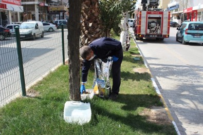 Kahta'da Sokak Hayvanları İçin Mama Ve Su Bırakılıyor