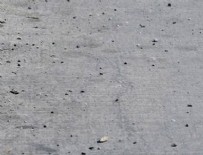 NİLÜFER - Korkutan görüntü!: Binlerce çekirge...