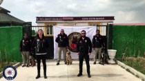 NARKOTIK - Van Emniyet Müdürlüğü 'Evde Kal' Videosu Hazırladı