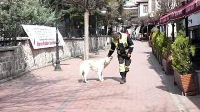 Altındağ Belediyesinden Sokak Hayvanlarına Mama Desteği