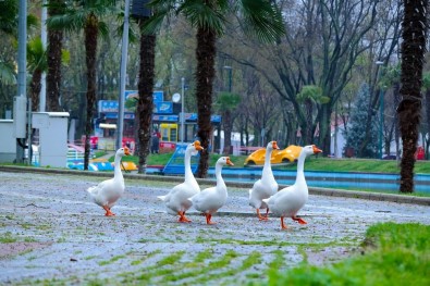 Bursa'da Parklar Sağlık İçin Kapatıldı