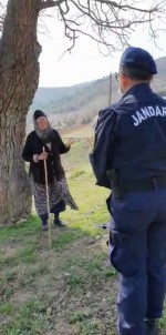 Jandarma Dağda Hayvan Otlatan Yaşlı Kadını Böyle Uyardı