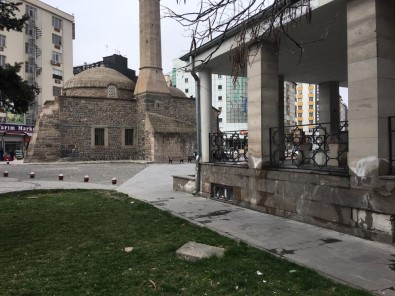 Kayseri'de Cami Avlusunu Fareler Bastı