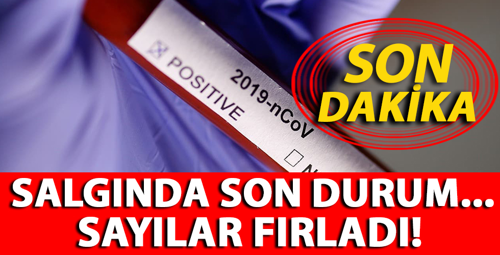 Korona virüsünde son durum