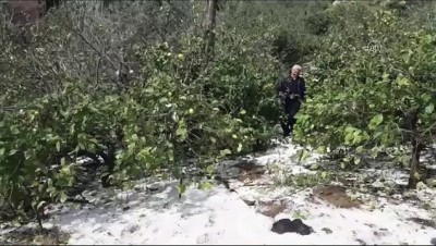 Mersin'de Dolu Yağışı Hayatı Olumsuz Etkiledi