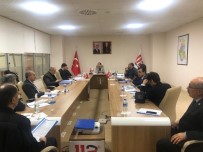 VALİ YARDIMCISI - Nevşehir'de Pandemi Toplantısı Yapıldı