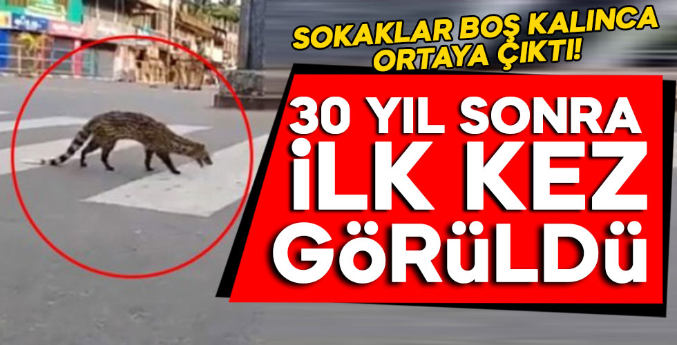 Sokaklar boş kaldı, 30 yıl sonra ortaya çıktı!