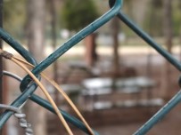 İÇIŞLERI BAKANLıĞı - Eskişehir Yasağa Uydu