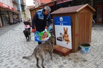 Ezine'de Sokak Hayvanları Unutulmadı Haberi