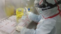 ÇİNLİ - Korona Virüs İtalya'da Daha Önce Yayılmış Olabilir