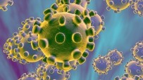 HUBEI - Çin'de Korona Virüs Salgınında 31 Yeni Vaka Tespit Edildi
