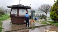 GÖLKENT - İzmit'te Sokak Hayvanları Unutulmuyor